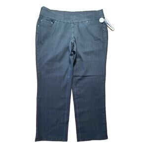 NWT JAG Jeans Plus Size 24 High Rise Straight Black Jean W42"×I32.5" Stretch